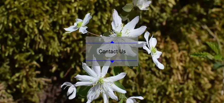 Contact Us