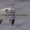10 Calm Before the Storm Quotes to Ease Your Mind [Plus Tips for Finding Inner Peace]