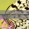 10 Heartwarming Butterfly Teacher Appreciation Quotes [Plus Tips for Showing Your Gratitude]