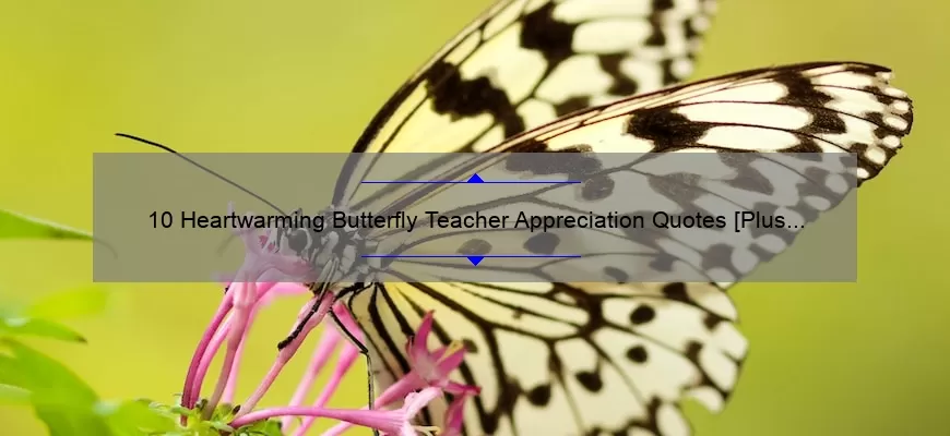 10 Heartwarming Butterfly Teacher Appreciation Quotes [Plus Tips for Showing Your Gratitude]