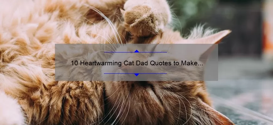 10 Heartwarming Cat Dad Quotes to Make You Smile [Plus Tips for Being the Best Cat Dad]