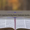 10 Inspiring AA Big Book Gratitude Quotes to Help You Stay Sober [For Those in Recovery]