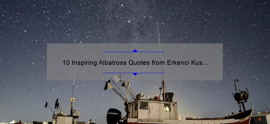 10 Inspiring Albatross Quotes from Erkenci Kus that Will Soar Your Spirits