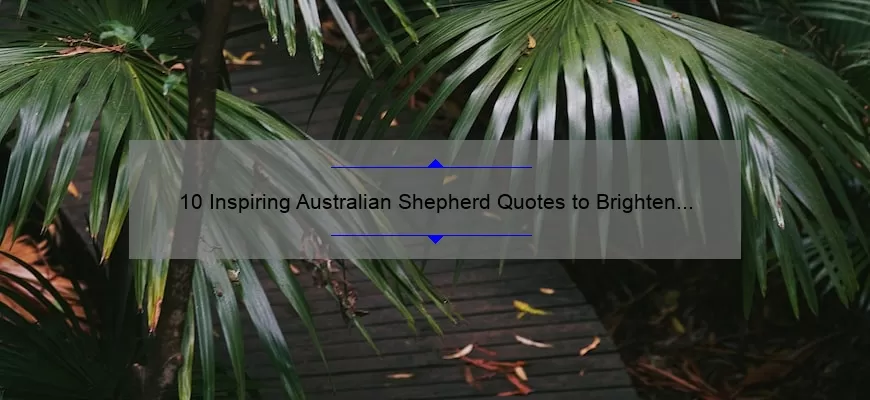 10 Inspiring Australian Shepherd Quotes to Brighten Your Day