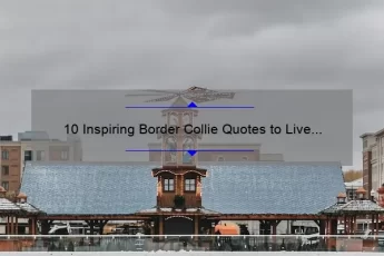 10 Inspiring Border Collie Quotes to Live By
