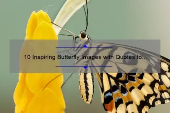 10 Inspiring Butterfly Images with Quotes to Brighten Your Day [Plus Tips for Finding the Perfect Picture]