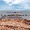 10 Inspiring Coral Reef Quotes to Save Our Oceans [Plus Tips on How You Can Help]