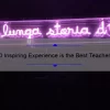 10 Inspiring Experience is the Best Teacher Quotes [And How They Can Help You Learn]