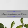 10 Sweet Candy Quotes from Of Mice and Men: A Guide to Satisfy Your Literary Sweet Tooth [For Book Lovers and Candy Enthusiasts]