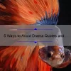 5 Ways to Avoid Drama Quotes and Live a Peaceful Life [True Story and Practical Tips]