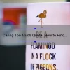 Caring Too Much Quote: How to Find Balance and Avoid Burnout [Real-Life Stories and Practical Tips]