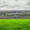 Don’t Test Me Quotes: 10 Inspiring Sayings to Shut Down Doubters and Boost Your Confidence [With Actionable Tips]