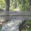 Empowering and Inspiring Breastfeeding Journey Quotes to Keep You Going