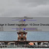Indulge in Sweet Inspiration: 10 Dove Chocolate Quotes to Satisfy Your Soul [Plus Tips for Finding Your Own Chocolate Bliss]