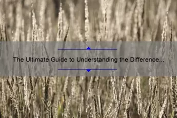 The Ultimate Guide to Understanding the Difference Between Cults and Religions [With Quotes and Statistics]