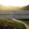 Unlocking Inspiration: 10 Cynthia Erivo Quotes to Empower Your Journey [Plus Tips for Applying Them to Your Life]