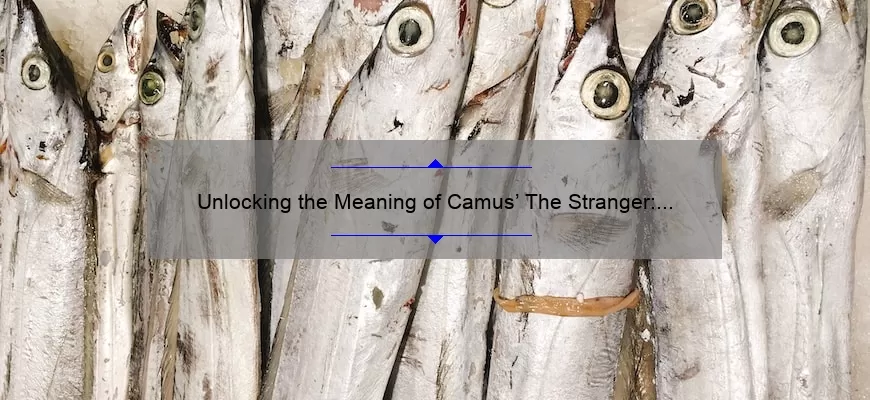 Unlocking the Meaning of Camus’ The Stranger: 10 Quotes Explained [For Literature Lovers]