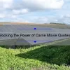 Unlocking the Power of Carrie Movie Quotes: How to Use Them to Enhance Your Life [Expert Tips and Stats]