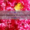 Unlocking the Supernatural: Ed and Lorraine Warren Quotes that Solve Your Haunting Problems [With Fascinating Stories and Stats]