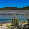 Unlocking the Wisdom of Carlos Finlay: Inspiring Quotes, Fascinating Story, and Practical Insights [Expert Guide]